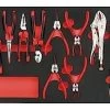 Teng TTEMB11 11 Piece Plier Set In Foam Module -Pro Tools Shop TTEMB11